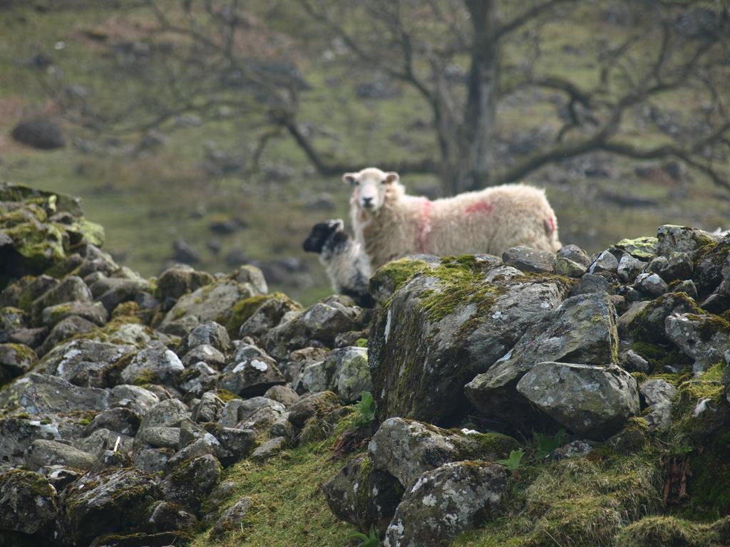 Bed and Breakfast Barn-Gill House Thirlmere Exterior foto